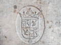 5U5A5881